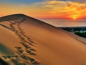 Patara